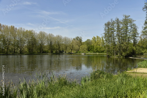 Reflet des arbres dans l'un des étangs du domaine provincial de Kessel-Lo à Louvain 