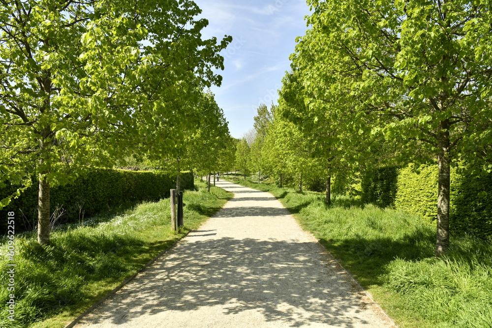 L'un des chemins en gravier beige entre bois au domaine provincial de Kessel-Lo à Louvain 