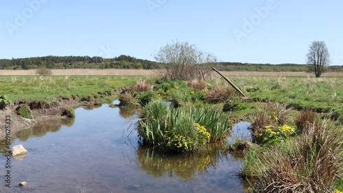 Pond, field and nature. Hjästaviken nature reserve. Håbo, Sweden. photo