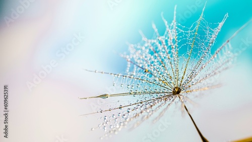 Mesmerizing Morning Serenity  Beautiful Dandelion Background in the Tranquil Spring Atmosphere - 4K image