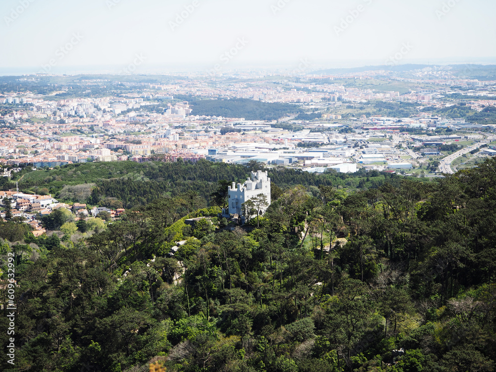 Castle in Sintra