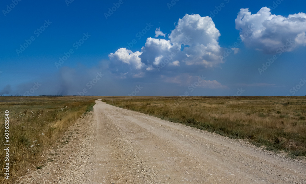 A smooth dirt road in the steppe on the Crimean peninsula, cumulus clouds in the sky