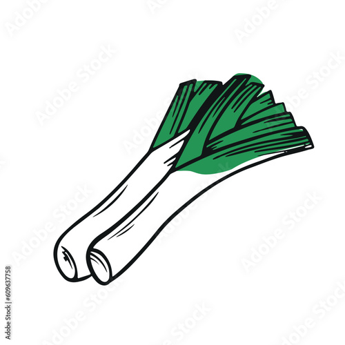 Green leek onions on white background