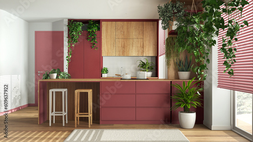 Home garden love. Wooden kitchen with island and stools interior design in white and red tones. Parquet, carpet and many house plants. Urban jungle, indoor biophilia idea