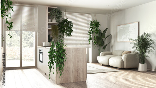 Modern bleached wooden kitchen and living room in white tones with island  sofa  window and appliances. Biophilic concept  many houseplants. Urban jungle interior design