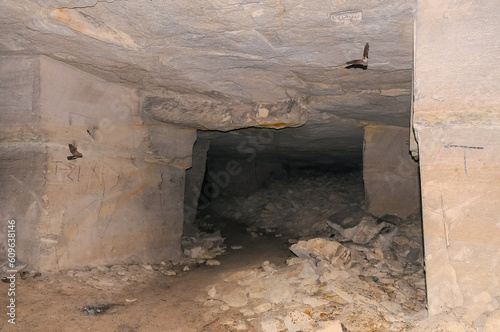 Catacombs of the Eastern Crimea, home to colonies of bats photo