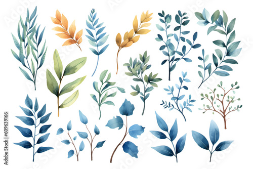 Set of beautiful colorful watercolor vector branches