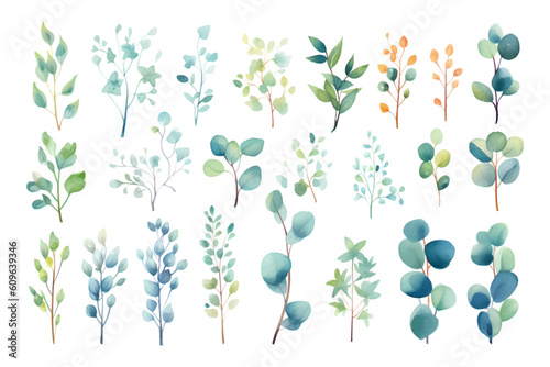 Set of colorful beauty watercolor vector branches