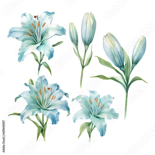 Set of watercolor vector light blue lilies