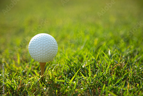  golf ball on tee pegs ready to play in the green background