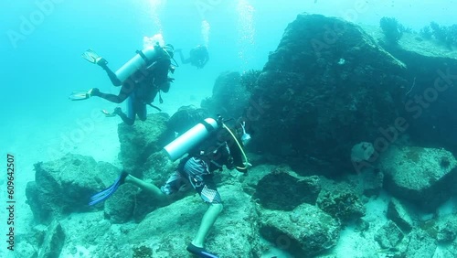 Wallpaper Mural Shoal of snappers in wonderful seabed of the Andaman Sea Islands. Underwater life on colorful coral reefs in transparent clear water on blue background. Scuba diving and snorkeling in undersea Ocean. Torontodigital.ca