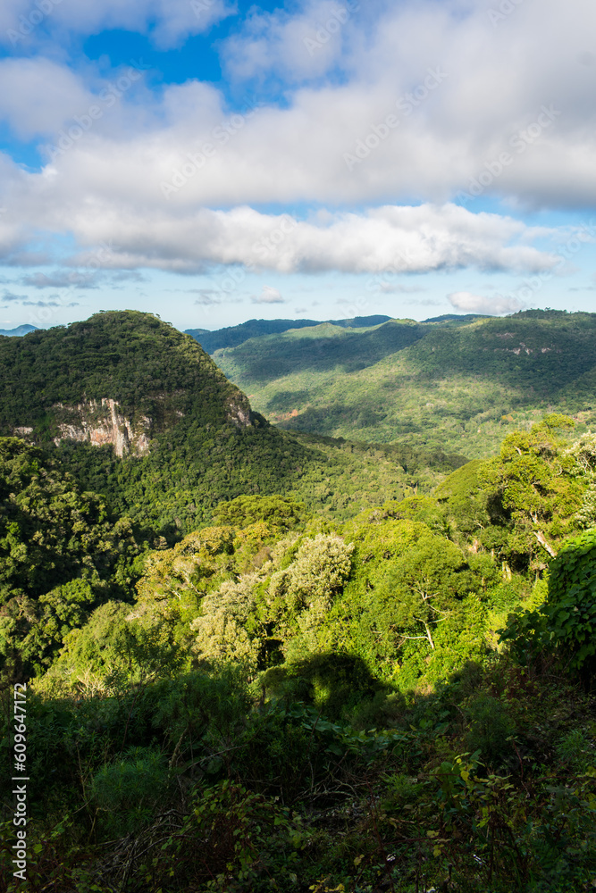 Obraz premium View from Mirante da Solidao (Solitude Viewpoint) at the Ronda Municipal Natural Park in Sao Francisco de Paula, South of Brazil