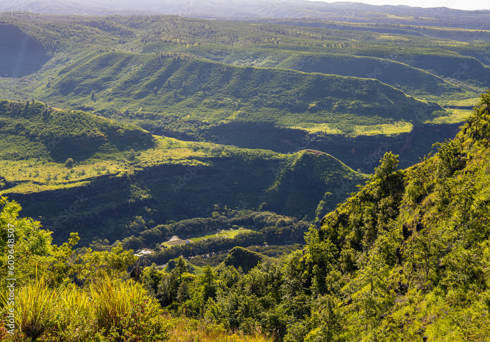 Obraz premium View of Waimea Canyon From The Stream and Canyon Lookout, Waimea Canyon State Park, Kauai, Hawaii, USA