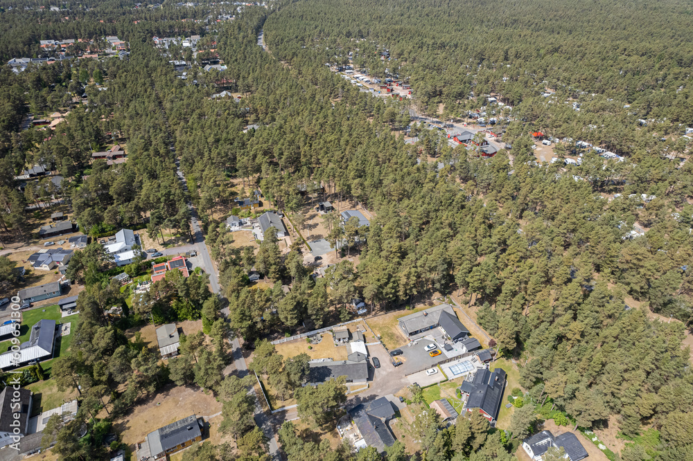 Aerial view of big forest with camping. Beautiful landscape of nature, many trees. Resort and recreational area, private houses, luxury real estate.  
