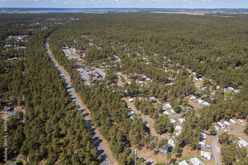 Aerial view of big forest with camping. Beautiful landscape of nature, many trees. Resort and recreational area, private houses, luxury real estate.  
