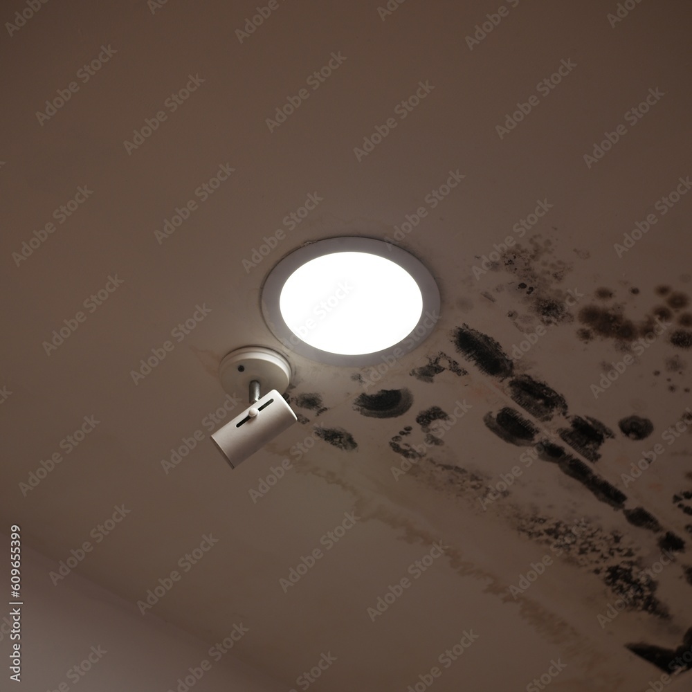 Lamps and CCTV are installed inside the coffee shop. Lamps and CCTV are installed inside the coffee shop.