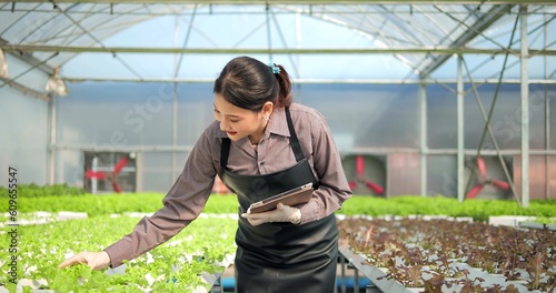 Young Asian woman farmer or owner of organic vegetable farm using digital tablet checking quality of organic lettuce at greenhouse hydroponics. Business agriculture technology concept © M Stocker