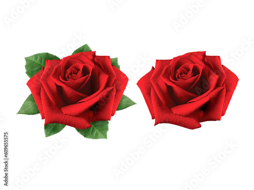 Red roses transparent background