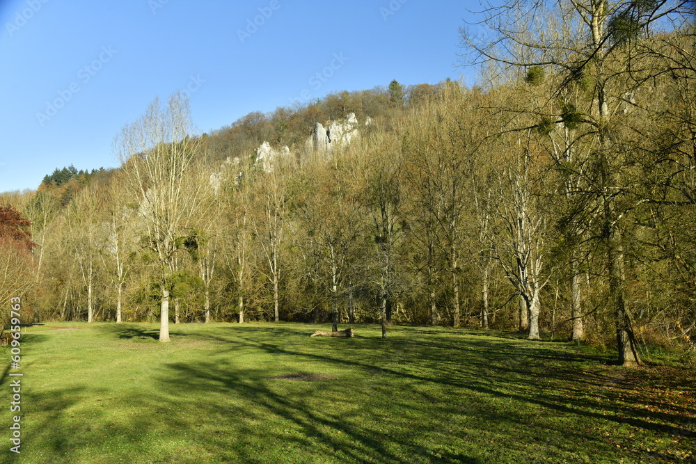 Pan de rochers calcaires sur l'une des collines verdoyantes dominant la vallée de la Lesse à Anseremme au sud de Dinant 