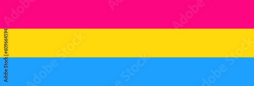 Pansexual LGBTQ pride flag in vector isolated