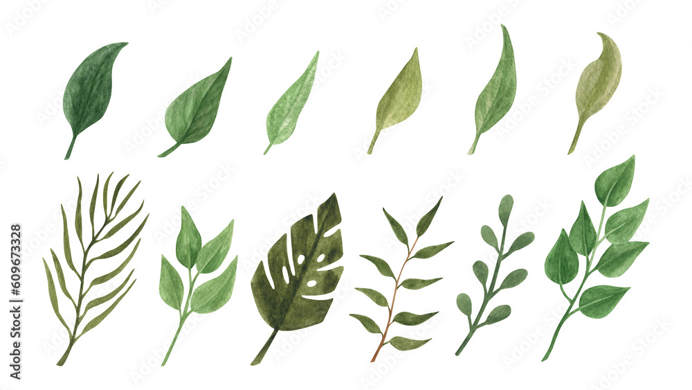 Hand drawn boho green leaf set. Watercolor illustration leaves for wedding decoration. Hand drawn boho green leaf set. Watercolor illustration leaves for wedding decoration.