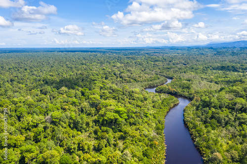 Aerial view of the Borneo rainforest.