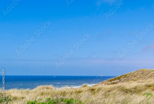 Dünenlandschaft mit Meerblick