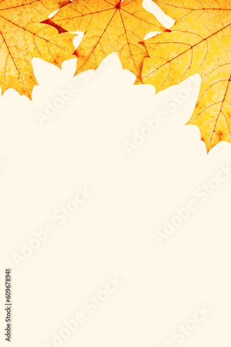 Frame from autumn red yellow maple leaves with natural texture on beige background, copy space. Natural fallen autumn leaf monochrome colored. Beautiful seasonal fall foliage, botanical design