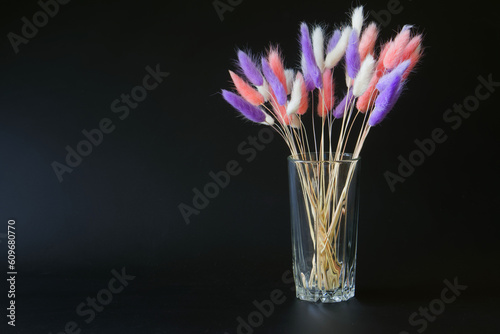 Multi-colored dried flower - Lagurus Italian tender in a transparent glass on a black background. Copy space. Photo