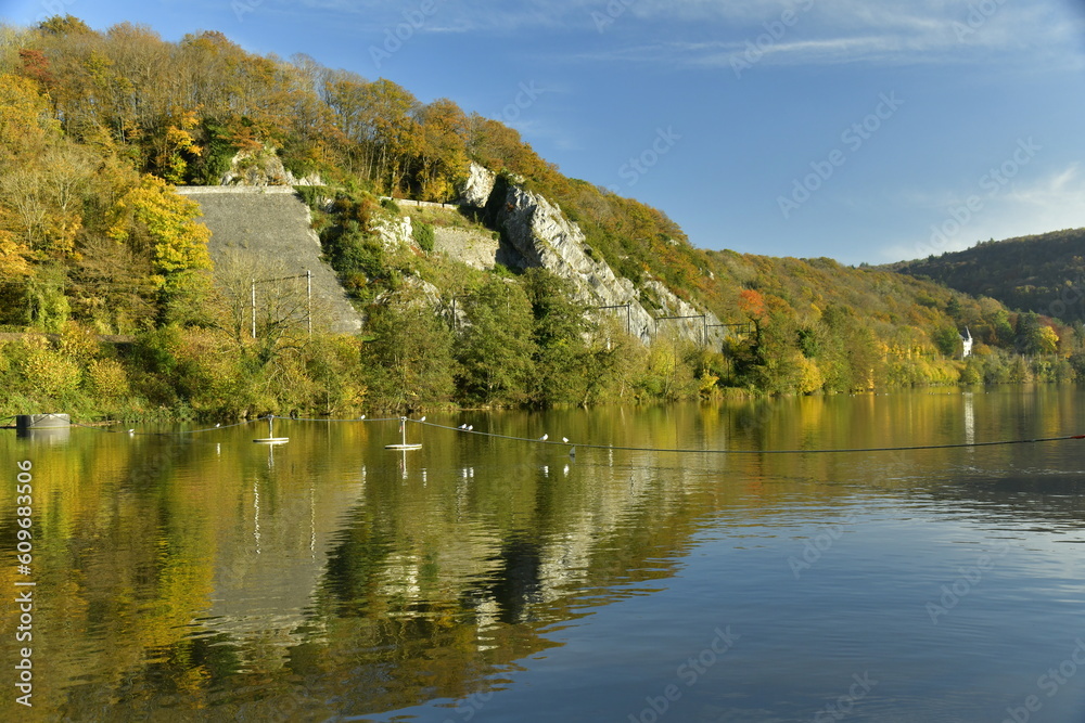 Pans de rochers couverts de végétation en automne se reflétant dans la Meuse à Profondeville 