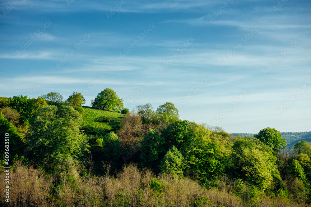 Fototapeta premium Round green hill with beautiful trees on the background of a blue sky with clouds. Spectacular natural blue green background with copy space