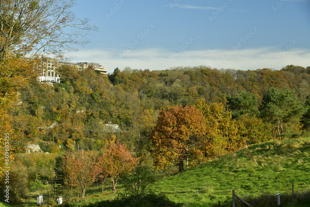 Paysage d'automne bucolique à deux pas de la Meuse à Profondeville