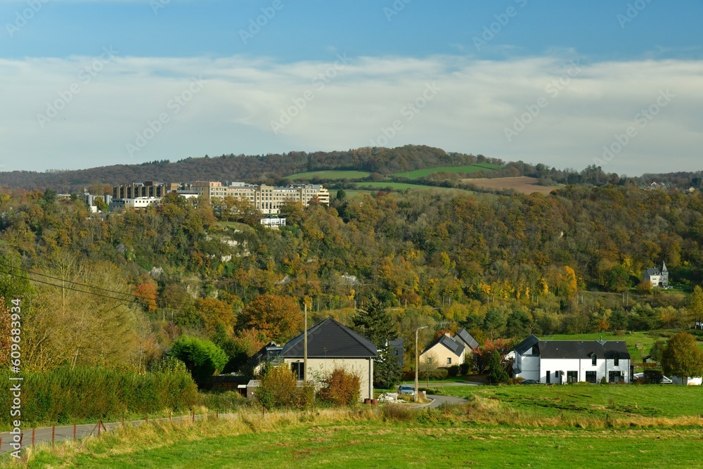 Les collines boisées en automne formant la vallée de la Meuse ayant un aspect de Petite Suisse à Profondeville 
