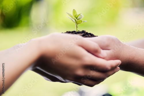 Hands, growth and plant in soil for earth, environment or closeup on gardening care or working in agriculture, farming or nature. Farmer, hand and worker growing green, leaf and life in spring © Azeemud-Deen Jacobs/peopleimages.com