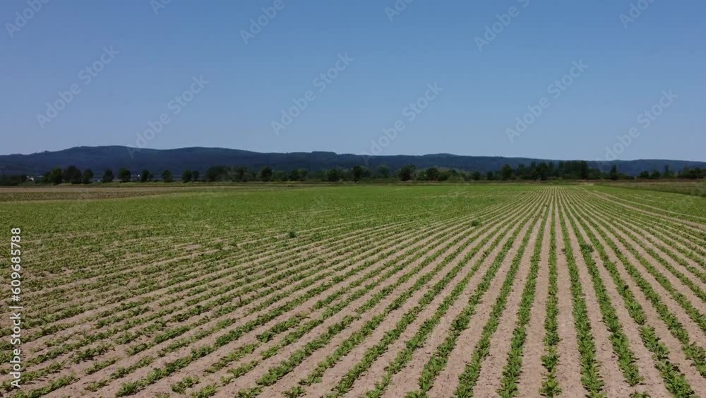 dried up fields due to climate change in the danube valley in bavaria dried up fields due to climate change in the danube valley in bavaria