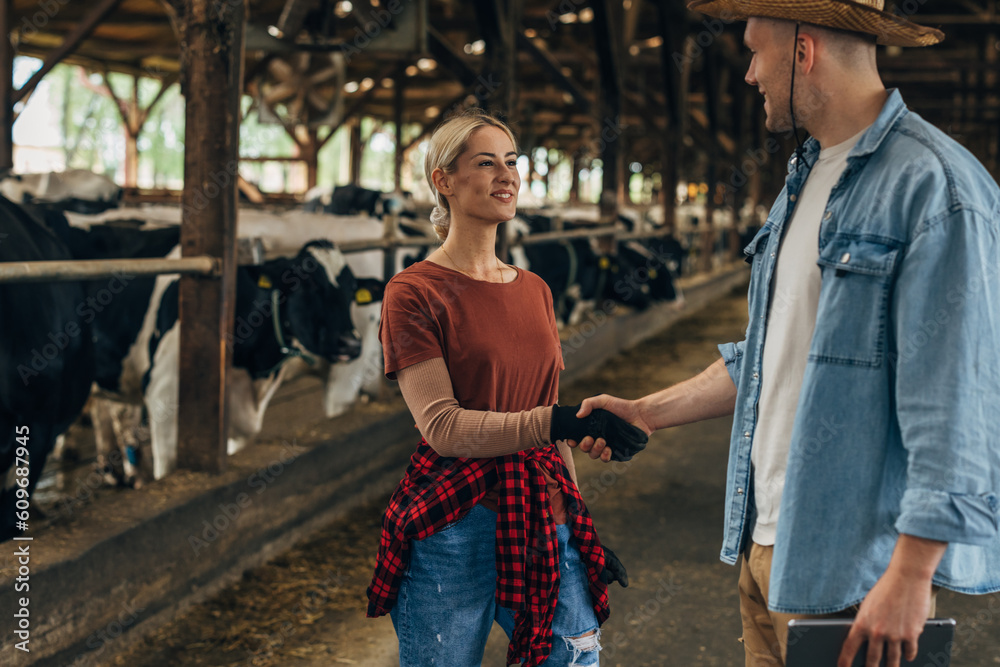 Obraz premium Farmer shakes hands with a female farmer in a stable.