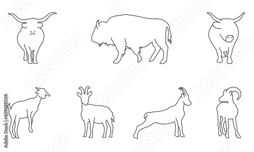 set of domestic animals photo