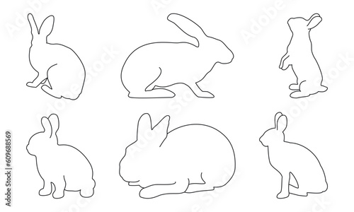 Bunny set