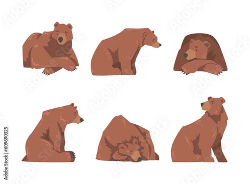 Brown Bear as Large Wild Terrestrial Carnivore Mammal with Thick Fur Vector Set