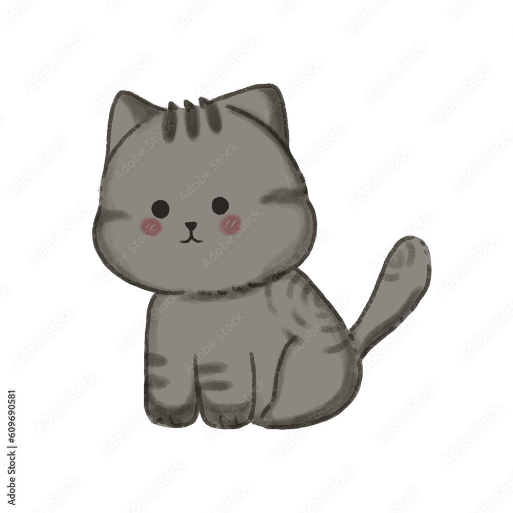 cat cat