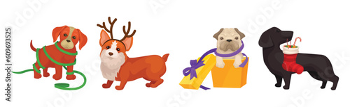 Funny Dog Breed with Winter Holiday Symbols Vector Set