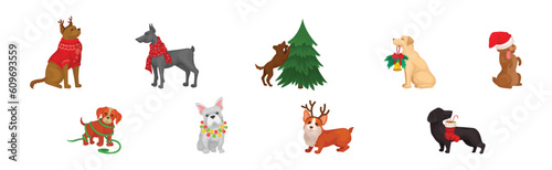 Funny Dog Breed with Winter Holiday Symbols Vector Set