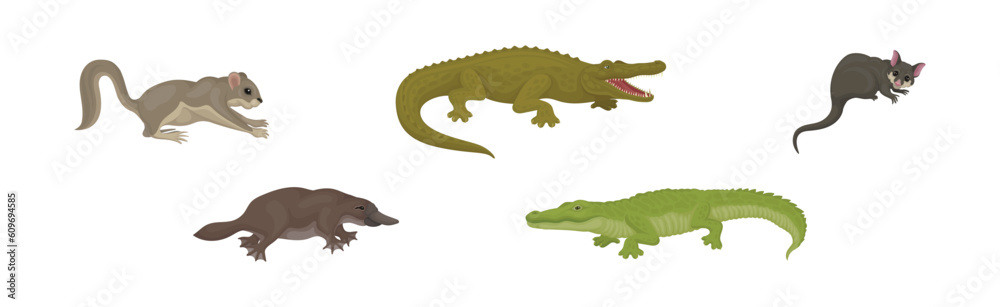 Different Australian Animals with Platypus, Crocodile and Bilby Vector Set Different Australian Animals with Platypus, Crocodile and Bilby Vector Set