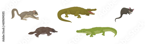 Different Australian Animals with Platypus, Crocodile and Bilby Vector Set