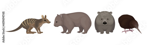 Different Australian Animals with Wombat, Bandicoot and Echidna Vector Set © Happypictures