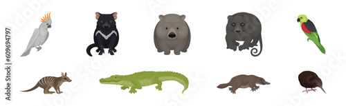 Different Australian Animals with Cockatoo, Tasmanian Devil, Wombat, Crocodile, Platypus and Echidna Vector Set