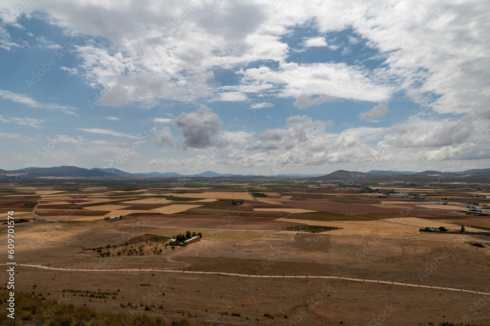 Panoramic view of large extensions of vineyards, cereals, olive trees, fruit trees, in Toledo (Spain)