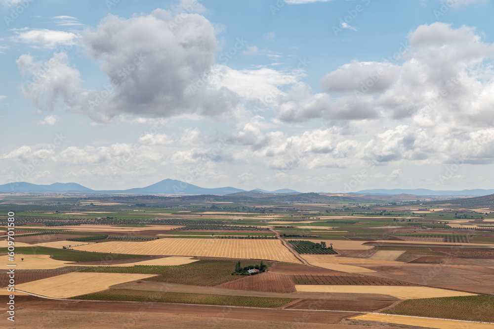 Panoramic view of large extensions of vineyards, cereals, olive trees, fruit trees, in Toledo (Spain)