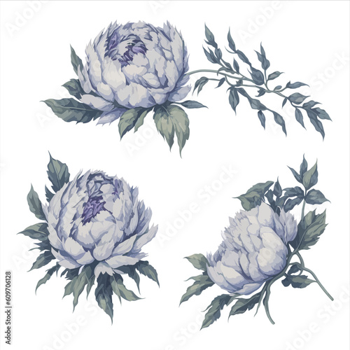 Peonies White Watercolor Flower Arrangement Collection.