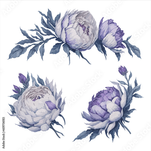 Peonies Purple White Watercolor Flower Arrangement Collection.